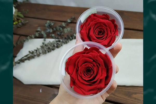 Unfading Roses